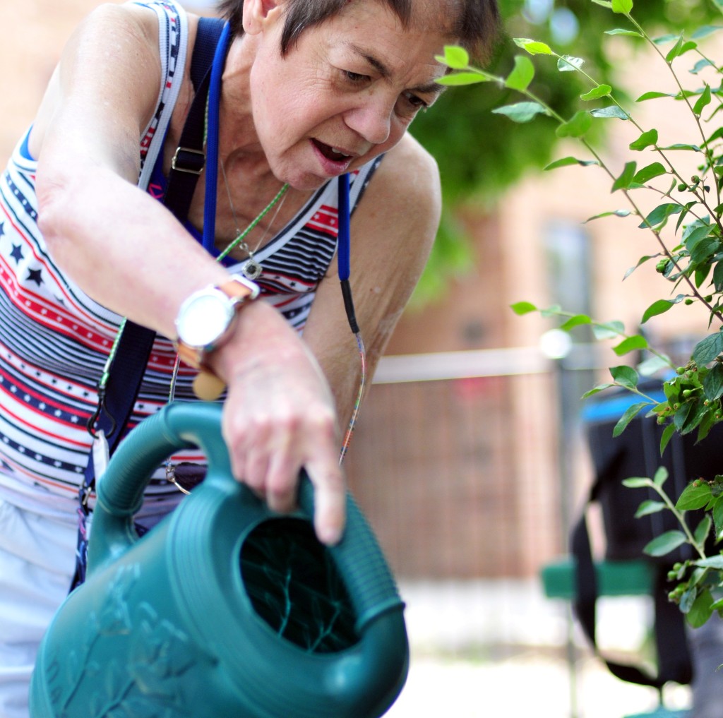 Watering plants